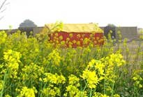Pratapgarh Farms View