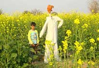 Pratapgarh Farms Agricultural 